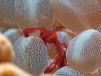 Philippines 2008 [ 301 images ]